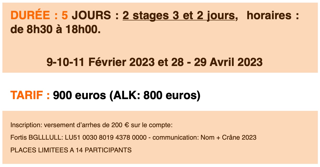 Crâne%202%20mondes%20infos