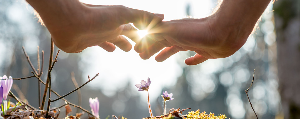 reflexologie plantaire